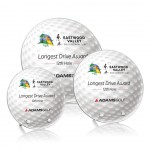 Hillsboro VividPrint Golf Award with Logo
