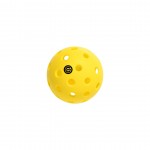Custom Wilder 40 Hole Pickleball Ball