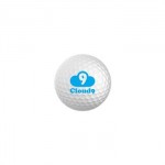 Logo Branded 2 Piece Surlyn Competition Golf Balls