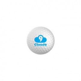 Logo Branded 2 Piece Surlyn Competition Golf Balls
