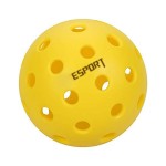 40 Hole Outdoor Seamless Pickleball with Logo