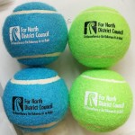 2 1/2" Beginner Training Tennis Ball MOQ100PCS with Logo