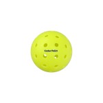 40 Hole Outdoor Seamless Pickleball with Logo