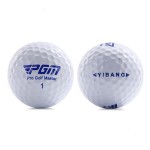 Customized 2-Layers Golf BALLS