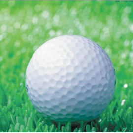 White Double-layer Training Golf Ball 392 Honeycombs with Logo  White Double-layer Training Golf Ball 392 Honeycombs with Logo
