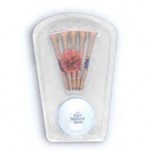 Best Buy Junior Caddy Golf Pack w/ "Top Flite" Golf Ball, Five 2 3/4" Tees & 1 Marker Custom Imprinted