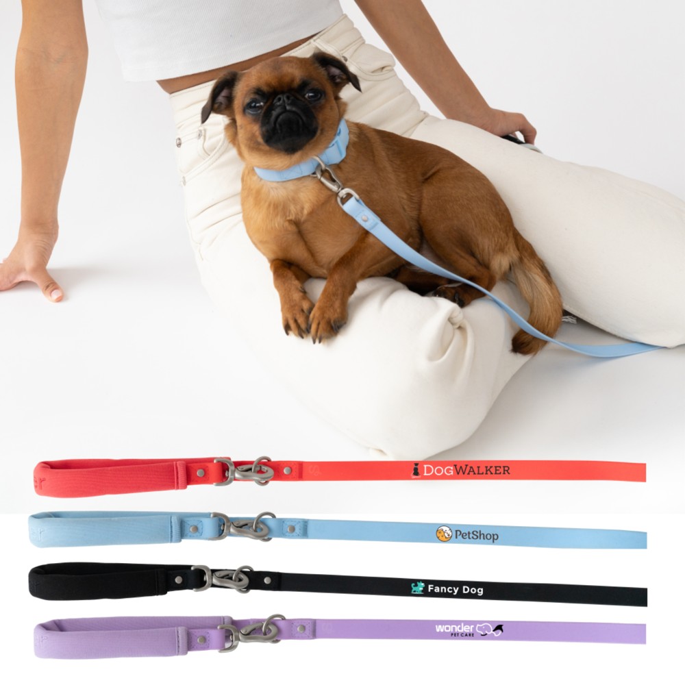 Springer Small Dog Leash with Logo
