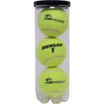 Custom Branded Dunlop Championship Tennis Balls