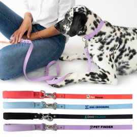 Customized Springer Dog Leash  Customized Springer Dog Leash