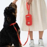 Customized Springer Walk Bag + Small Dog Leash