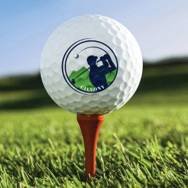 Customized Professional Golf Ball Set -3 Pack  Customized Professional Golf Ball Set -3 Pack
