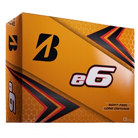Bridgestone E6 - Below Minimum with Logo  Bridgestone E6 - Below Minimum with Logo