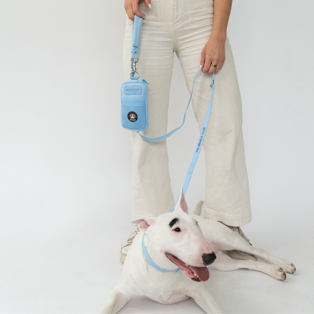 Personalized Springer Walk Bag + Dog Leash