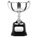 Custom Engraved 5.7" Swatkins Endurance Nickel Plated Award Cup