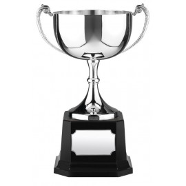 Custom Engraved 5.7" Swatkins Endurance Nickel Plated Award Cup