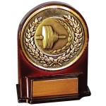 Customized Stock 5 1/2" Medallion Award With 2" Weightlifting Coin and Engraving Plate