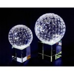 Golf Award (3 1/8" x 4 5/8") Custom Branded