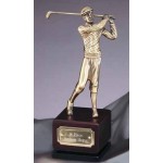 Logo Printed Classic Male Golfer on Wood Base