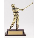 Gold Cast Metal Finish Male Golf Resin Award Custom Branded