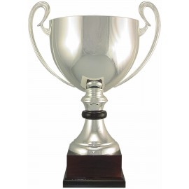 Custom Silver Plated Italian Cup  Custom Silver Plated Italian Cup