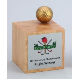 Basic Golf Award, 5 3/4"H Custom Imprinted
