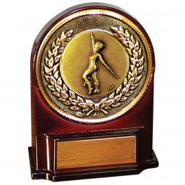 Custom Stock 5 1/2" Medallion Award With 2" Baton Coin and Engraving Plate