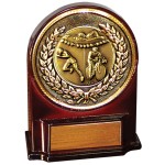 Logo Branded Stock 5 1/2" Medallion Award With 2" Triathlon Coin and Engraving Plate