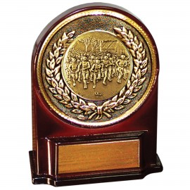 Stock 5 1/2" Medallion Award With 2" Marathon Coin and Engraving Plate Logo Printed