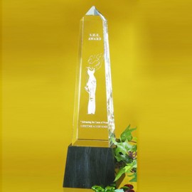 8" Obelisk Award Custom Branded