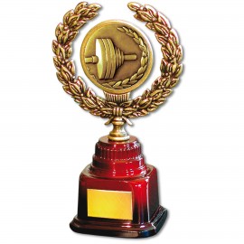 Customized Stock 7" Trophy with 2" Weightlifting Coin and Engraving Plate  Customized Stock 7" Trophy with 2" Weightlifting Coin and Engraving Plate