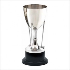 Promotional Nickel Plated Golf Cup Award 11"H