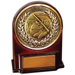 Customized Stock 5 1/2" Medallion Award With 2" Fishing Coin and Engraving Plate