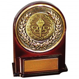 Promotional Stock 5 1/2" Medallion Award With 2" Torch & Rings Coin and Engraving Plate