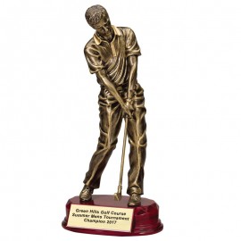 Logo Printed 11" Antique Gold Male Golfer Trophy