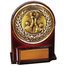 Stock 5 1/2" Medallion Award With 2" Victory Male Coin and Engraving Plate Custom Branded