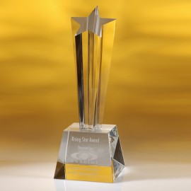 Logo Branded 11" New Star Award