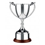 Logo Printed 7" Swatkins Endurance Trophy Cup Award