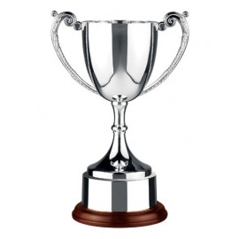 Logo Printed 7" Swatkins Endurance Trophy Cup Award