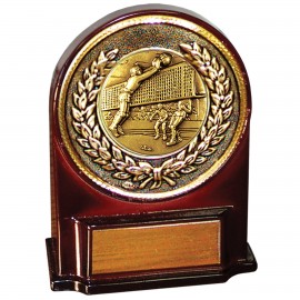 Stock 5 1/2" Medallion Award With 2" Volleyball Coin and Engraving Plate Logo Printed