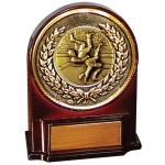 Stock 5 1/2" Medallion Award With 2" Wrestling Coin and Engraving Plate Custom Imprinted