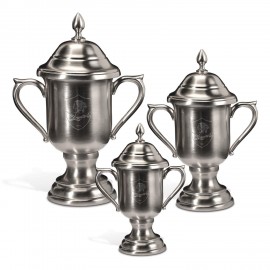 Promotional Trophy Cup 12" York