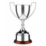 Logo Printed 7" Swatkins Endurance Metal Trophy Cup Award w/Base