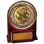 Logo Branded Stock 5 1/2" Medallion Award With 2" Cards Coin and Engraving Plate