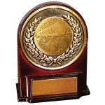 Customized Stock 5 1/2" Medallion Award With 2" Cheerleading Coin and Engraving Plate