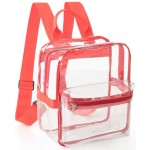 Logo Branded Mini Clear PVC Transparent Backpack with Front Accessory Pocket (11"x5")