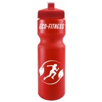 Custom 28 Oz. Journey Bike Sports Bottle w/Push Pull Cap (Colors)