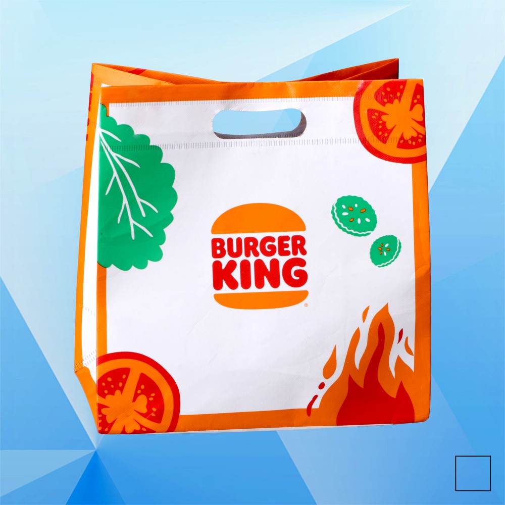 Insulated Thermal Lunch Bag/60 GMS Cooler Tote Bag with Logo