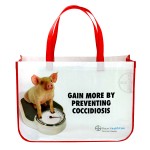 Promotional Custom Full-Color Laminated Non-Woven Round Cornered Promotional Tote Bag 16.5"x12"x6"