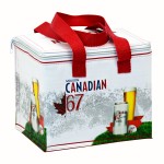 Personalized Custom Laminated Woven Insulated 6-Can Cooler Bag 8"x 6.5"x 6.75"