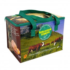 Custom Full-Color 145g Laminated Woven Insulated Grocery Cooler Bag 13"x9"x9" with Logo